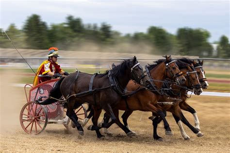 How to win chariot races easily and get the legendary horses.